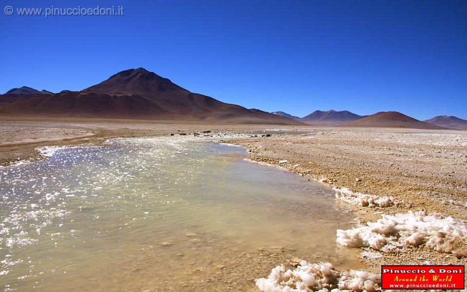 BOLIVIA 2 - Laguna Blanca - 12.jpg